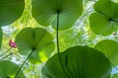 基翁对话马杜埃凯：你现在踢得很团队，是因为教练还是新球队？